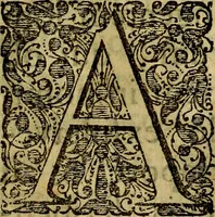 An illustration from Dactyliothecae, seu Annulorum sigillarium quorum priscos tam Graecos quam Romanos usus, ex ferro, aere, argento & auro promptuarii ... Collectis aliunde & ineditis & editis annulorum figuris auctior; (1695)