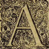 An illustration from Dactyliothecae, seu Annulorum sigillarium quorum priscos tam Graecos quam Romanos usus, ex ferro, aere, argento & auro promptuarii ... Collectis aliunde & ineditis & editis annulorum figuris auctior; (1695)