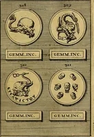 An illustration from Dactyliothecae, seu Annulorum sigillarium quorum priscos tam Graecos quam Romanos usus, ex ferro, aere, argento & auro promptuarii ... Collectis aliunde & ineditis & editis annulorum figuris auctior; (1695)