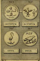 An illustration from Dactyliothecae, seu Annulorum sigillarium quorum priscos tam Graecos quam Romanos usus, ex ferro, aere, argento & auro promptuarii ... Collectis aliunde & ineditis & editis annulorum figuris auctior; (1695)