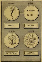 An illustration from Dactyliothecae, seu Annulorum sigillarium quorum priscos tam Graecos quam Romanos usus, ex ferro, aere, argento & auro promptuarii ... Collectis aliunde & ineditis & editis annulorum figuris auctior; (1695)