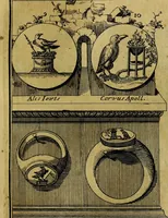 An illustration from Dactyliothecae, seu Annulorum sigillarium quorum priscos tam Graecos quam Romanos usus, ex ferro, aere, argento & auro promptuarii ... Collectis aliunde & ineditis & editis annulorum figuris auctior; (1695)
