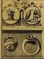 An illustration from Dactyliothecae, seu Annulorum sigillarium quorum priscos tam Graecos quam Romanos usus, ex ferro, aere, argento & auro promptuarii ... Collectis aliunde & ineditis & editis annulorum figuris auctior; (1695)
