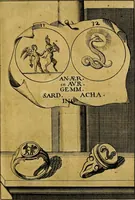 An illustration from Dactyliothecae, seu Annulorum sigillarium quorum priscos tam Graecos quam Romanos usus, ex ferro, aere, argento & auro promptuarii ... Collectis aliunde & ineditis & editis annulorum figuris auctior; (1695)