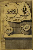 An illustration from Dactyliothecae, seu Annulorum sigillarium quorum priscos tam Graecos quam Romanos usus, ex ferro, aere, argento & auro promptuarii ... Collectis aliunde & ineditis & editis annulorum figuris auctior; (1695)