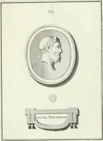 Picture 18 of 78 from Dactyliotheca Smithiana (1767), leaf 440