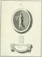 An illustration from Dactyliotheca Smithiana (1767)