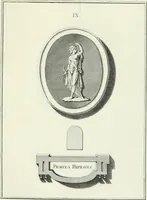 Picture 24 of 78 from Dactyliotheca Smithiana (1767), leaf 452
