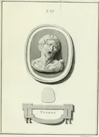 An illustration from Dactyliotheca Smithiana (1767)