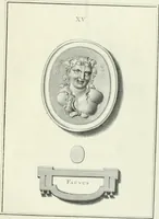 An illustration from Dactyliotheca Smithiana (1767)