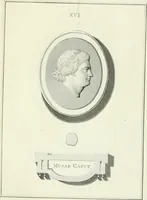 An illustration from Dactyliotheca Smithiana (1767)