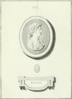Picture 33 of 78 from Dactyliotheca Smithiana (1767), leaf 472
