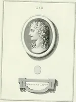 Picture 34 of 78 from Dactyliotheca Smithiana (1767), leaf 478