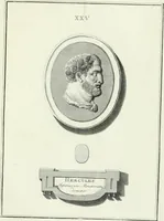Picture 35 of 78 from Dactyliotheca Smithiana (1767), leaf 484