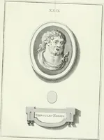 An illustration from Dactyliotheca Smithiana (1767)