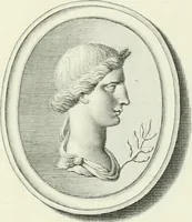 An illustration from Dactyliotheca Smithiana (1767)