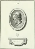 An illustration from Dactyliotheca Smithiana (1767)