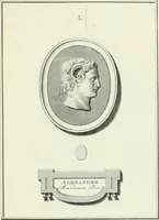 An illustration from Dactyliotheca Smithiana (1767)