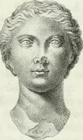An illustration from Dactyliotheca Smithiana (1767)