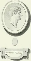 Picture 62 of 78 from Dactyliotheca Smithiana (1767), leaf 550