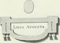 Picture 64 of 78 from Dactyliotheca Smithiana (1767), leaf 558