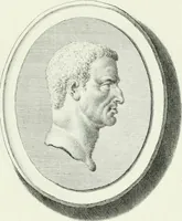 An illustration from Dactyliotheca Smithiana (1767)