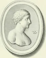 An illustration from Dactyliotheca Smithiana (1767)