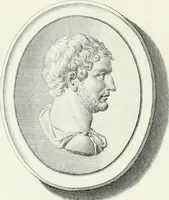 An illustration from Dactyliotheca Smithiana (1767)