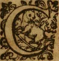 An illustration from Daemoniaci, hoc est, De obsessis a spiritibus daemoniorum hominibus liber unus : in quo daemonum obsidentium conditio, obsessorum hominum status, rationes & modi, quibus ab obsessis exiguntur ; causae item tum difficilis exitus ipsorum, tum signorum quae exituri relinquunt ... discutiuntur & explicantur, denuò omnia repurgata & aucta (1603)