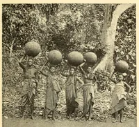 An illustration from Dahomey et dépendances : historique général, organisation, administration, ethnographie, productions, agriculture, commerce (1900)