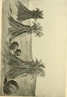 An illustration from Daily program of gift and occupation work (1904)