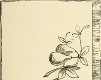 An illustration from Dainty work for pleasure and profit (1891)