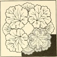 An illustration from Dainty work for pleasure and profit (1891)