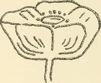 An illustration from Dainty work for pleasure and profit (1891)