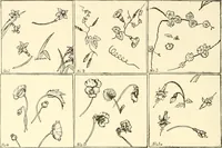 An illustration from Dainty work for pleasure and profit (1891)