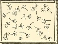 Picture 92 of 391 from Dainty work for pleasure and profit (1891), leaf 129
