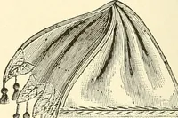 An illustration from Dainty work for pleasure and profit (1891)