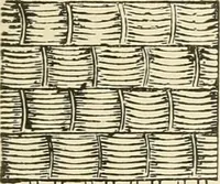 Picture 118 of 391 from Dainty work for pleasure and profit (1891), leaf 150