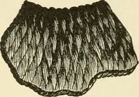 An illustration from Dainty work for pleasure and profit (1891)