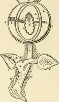 An illustration from Dainty work for pleasure and profit (1891)