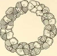 An illustration from Dainty work for pleasure and profit (1891)