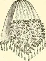 An illustration from Dainty work for pleasure and profit (1891)