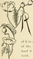 An illustration from Dainty work for pleasure and profit (1891)