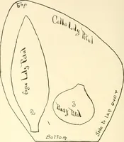 Picture 163 of 391 from Dainty work for pleasure and profit (1891), leaf 189