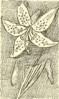 An illustration from Dainty work for pleasure and profit (1891)