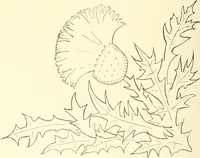 An illustration from Dainty work for pleasure and profit (1891)