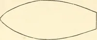 An illustration from Dainty work for pleasure and profit (1891)
