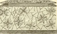 An illustration from Dainty work for pleasure and profit (1891)
