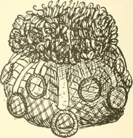 An illustration from Dainty work for pleasure and profit (1891)