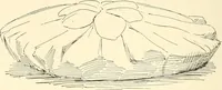 An illustration from Dainty work for pleasure and profit (1891)